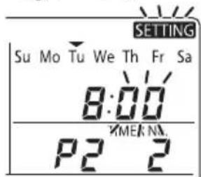 SETTING Su Mo Tu We Th Fr Sa 8:00 P2 2