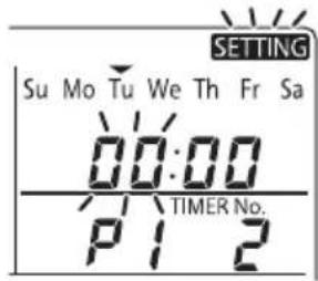 SETTING Su Mo Tu We Th Fr Sa 00:00 TIMER No. P1 2