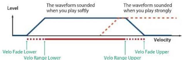 Level The waveform sounded when you play softly The waveform sounded when you play strongly Velocity Velo Fade Lower Velo Range Lower Velo Range Upper Velo Fade Upper