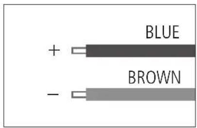 BLUE + - BROWN