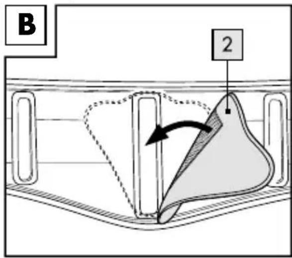 B 2