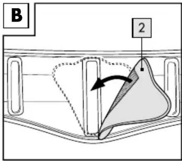 B 2