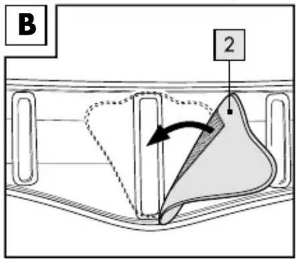 B 2