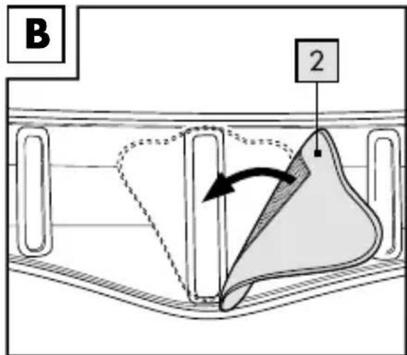 B 2