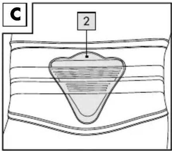 C 2
