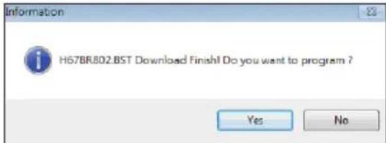 Information H67BR802.BST Download Finish! Do you want to program ? Yes No