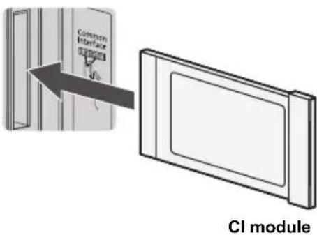 Common Interface CI module