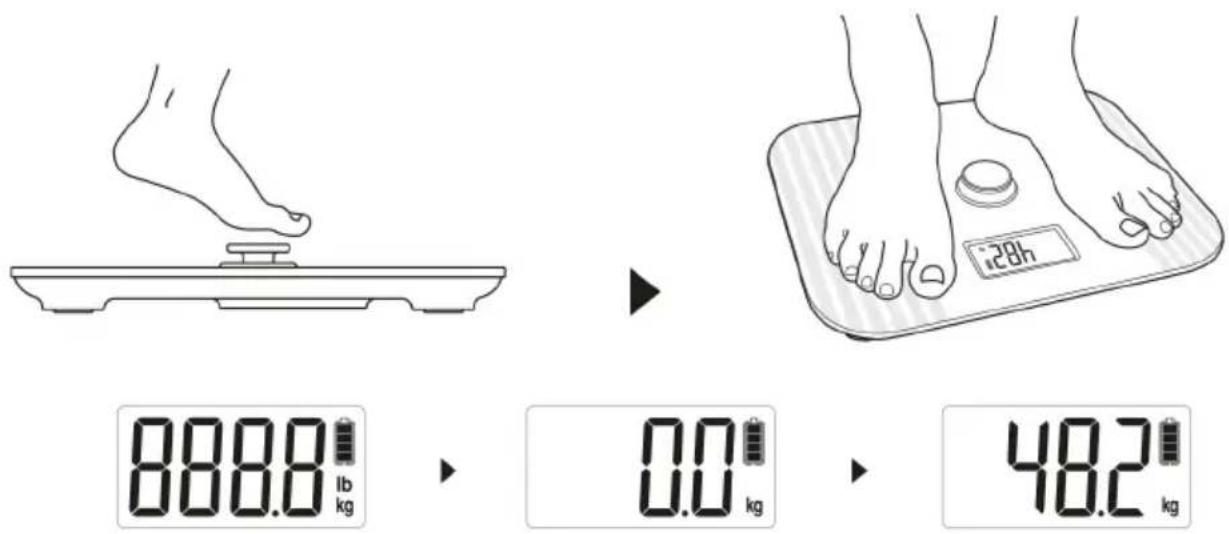 888.0 lb kg 0.0 kg 48.2 kg