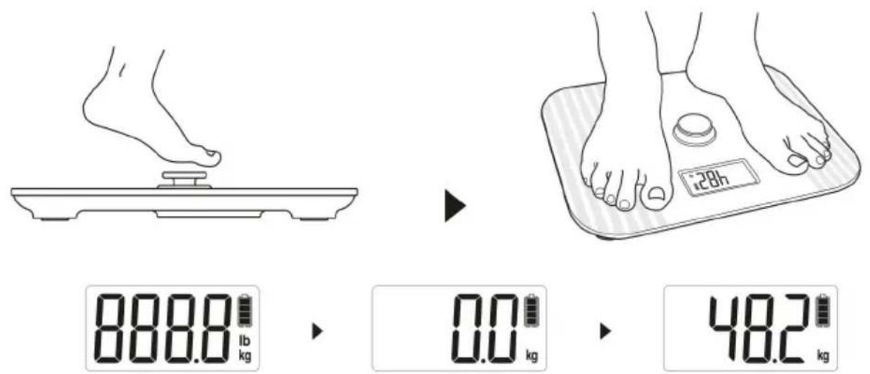 888.0 lb kg 0.0 kg 48.2 kg