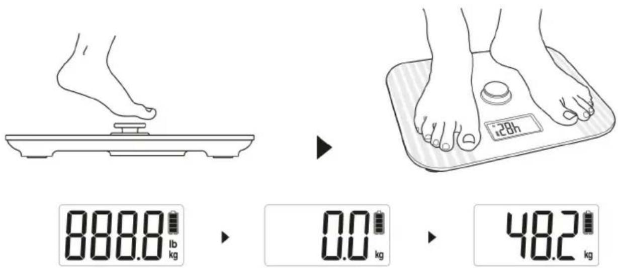 888.0 lb kg 0.0 kg 48.2 kg