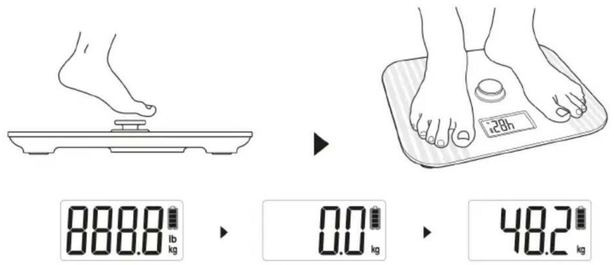 888.0 lb kg 0.0 kg 48.2 kg