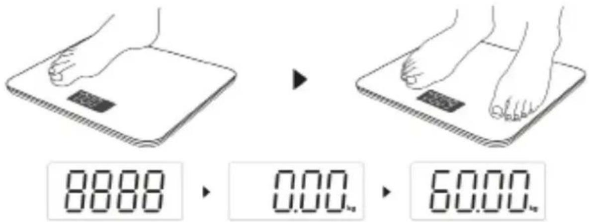 Witt WPS180G - ANVÄNDNING - 1