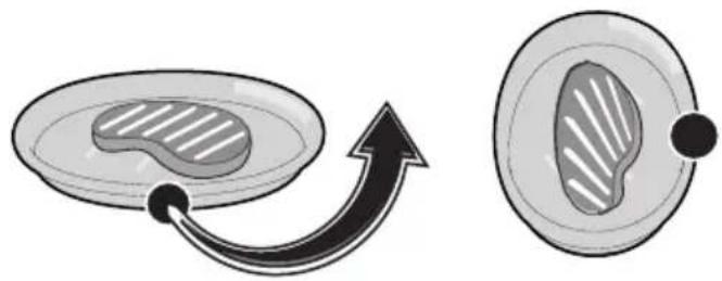 Witt WMC4560B - "Turn" procedure - 3