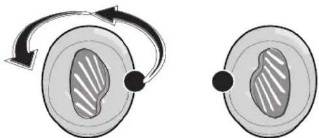 Witt WMC4560B - "Turn" procedure - 5