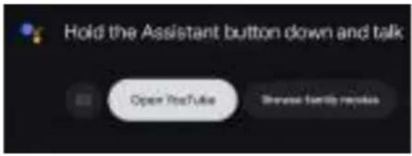 Hold the Assistant button down and talk Open YouTube Browse family notes
