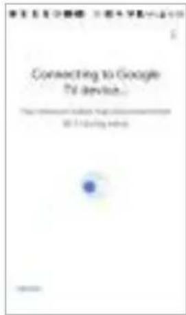 Connecting to Google Pd device... To Find the Internet