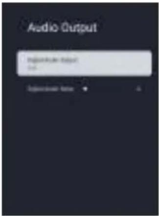 Audio Output Input to the output OK Cancel
