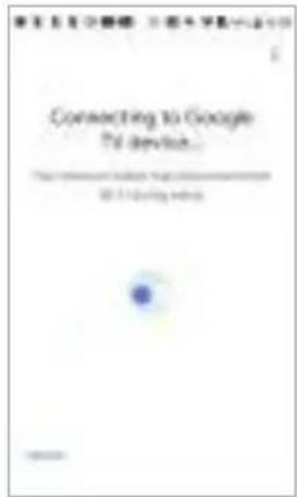Connecting to Google Pd device... To Find the Internet