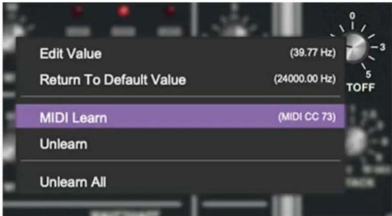 Edit Value (39.77 Hz) Return To Default Value (24000.00 Hz) MIDI Learn (MIDI CC 73) Unlearn Unlearn All