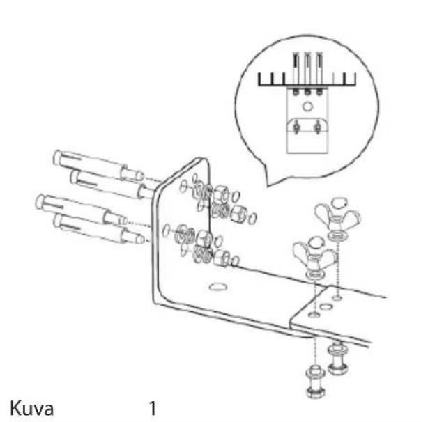 Kuva 1
