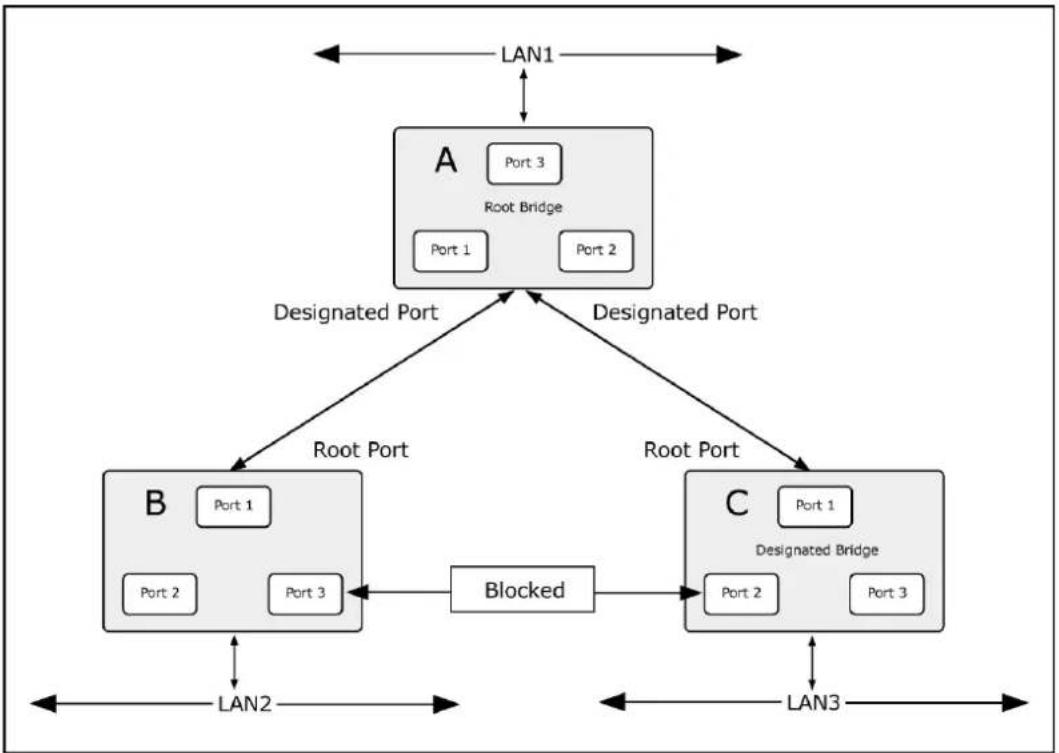 Planet IGT-900-1T1S - Illustration of STP - 2