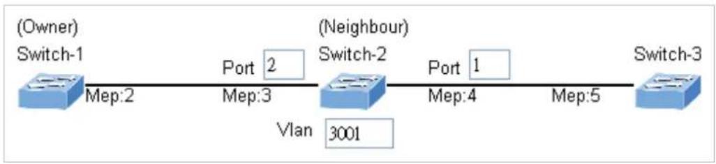 Planet IGT-900-1T1S - Set ERPS Configuration on Switch 2 - 2