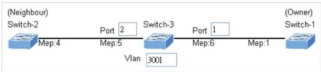 Planet IGT-900-1T1S - Set ERPS Configuration on Switch 3 - 2