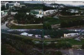 Ernitec NVR Hybrid - Live Video - 1