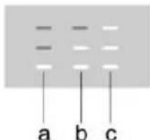 a b c