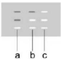 a b c