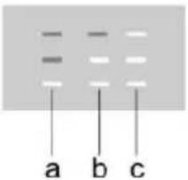 a b c