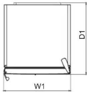 D1 W1
