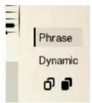 Phrase Dynamic