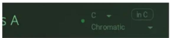 S A C in C Chromatic