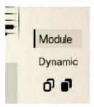 Module Dynamic