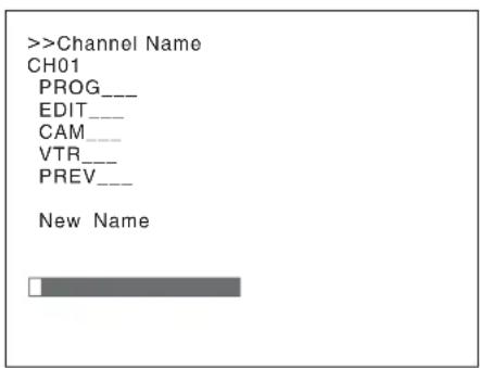 >Channel Name CH01 PROG._ EDIT._ CAM._ VTR._ PREV._ New Name