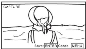 CAPTURE Save: ENTER Cancel: MENU