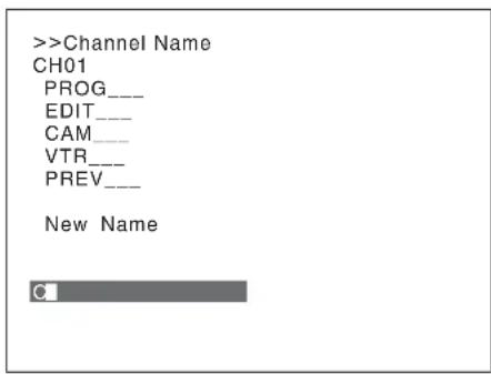 >Channel Name CH01 PROG___ EDIT___ CAM___ VTR___ PREV___ New Name