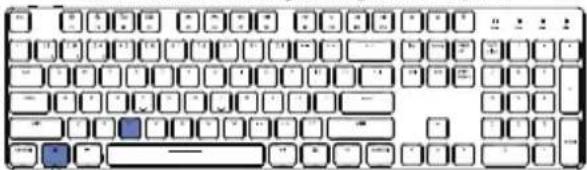Cropped image of a standard computer keyboard layout showing white, blue, and black keys with some highlighted in blue.