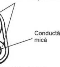 Conductă mică