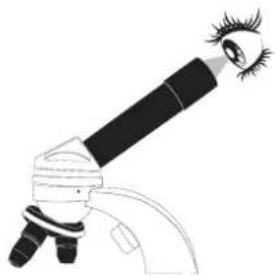 AVer AVerVision VP-1HD - Connecting to a Microscope - 3