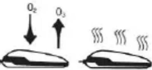 O₂ O₃