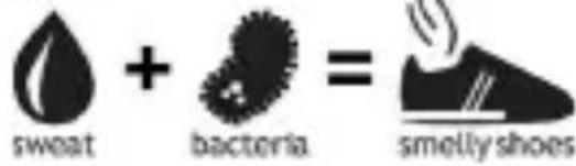 sweat + bacteria = smelly shoes
