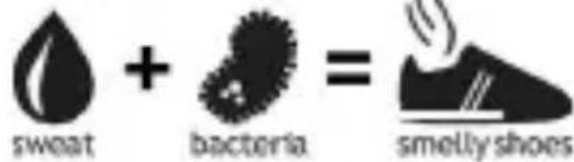 sweat + bacteria = smelly shoes