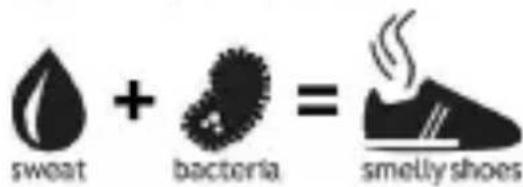 sweat + bacteria = smelly shoes