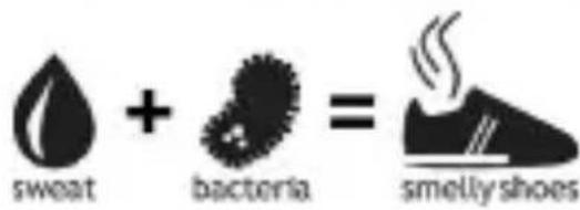 sweat + bacteria = smelly shoes