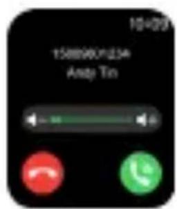 15889601234 Anp Tin
