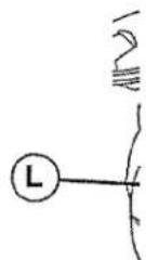 Craftsman 917.289720 - MOTOR - 1