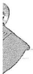 Craftsman 917.289720 - VE BELT - 3