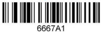 6667A1